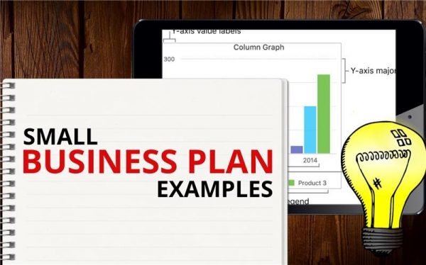 small business plan companies